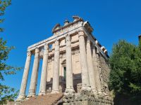 Rom - Forum Romanum (Tempel des Antoninus Pius und der Faustina)