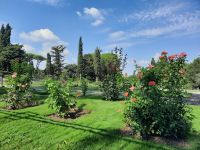 Rom - Rosengarten