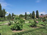 Rom - Rosengarten