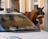 Taxi oder Droschke?