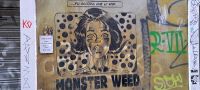 Trastevere - Stadtviertel jenseits des Tibers - Streetart