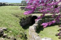 am Amphitheater