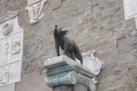 auf dem Kapitolhügel...