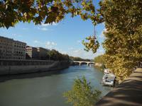 ruhiges Flußbett des Tiber