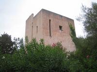 Haus in Porto Rotondo 