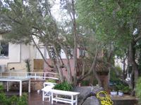 Sitzecke unter Bäumen 