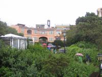 viel Grün in der Stadt 