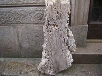 Sie erschafft Kleider aus Kork - hier ein Stück des Rohmerials am Eingang 