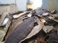 Im Hof der Korkmanufaktur 