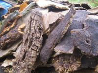 die unterschiedlichen Sorten 