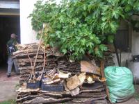 Im Hof der Korkmanufaktur 