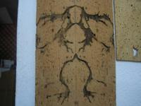 Ameisen hinterlassen diese Spuren in der Rinde. 