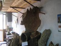 Kork, wohin das Auge sieht 