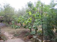 der Garten des Agriturismo 