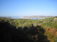 Weiterfahrt zur Insel Caprerra 