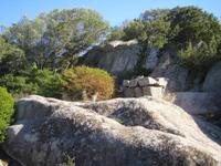 wilschöne Landschaft 