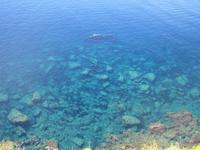 Blick vom Aussichtspunkt 