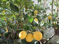 Ausflug in die Gallura