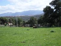 Ausflug in die Gallura