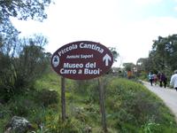 Ausflug in die Gallura (Mittagessen im Agriturismo 