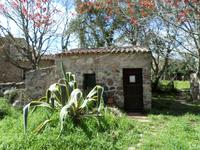 Ausflug in die Gallura (Mittagessen im Agriturismo 
