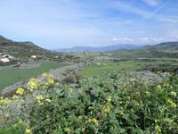 Landschaft bei Castelsardo
