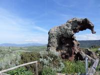 Elefantenfelsen bei Castelsardo
