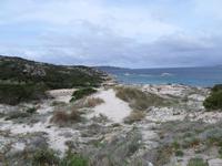 Inselrundfahrt auf Maddalena (Baia Trinita)