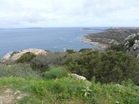 Inselrundfahrt auf Maddalena