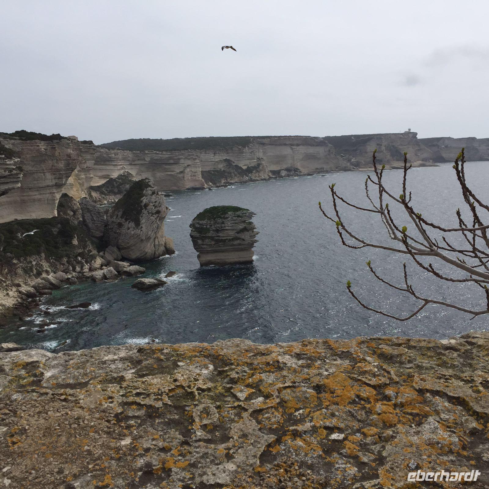 Ausflug nach Bonifacio (Korsika)