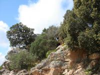 Steine und Natur auf Sardinien