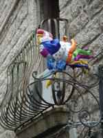 Der Hagn, das Wappentier von Gallura