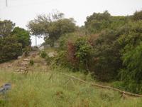 Am Wege zurück nach Santa Teresa