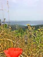 019 Sardinien - Aussicht auf die Costa Smeralda
