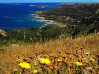 112 Sardinien - La Maddalena