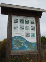 129 Sardinien - Wanderung zum Capo Testa