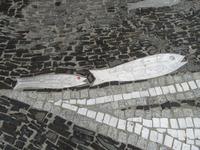 Meeresgasse in Porto Rotondo