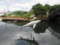 Hafen von Porto Rotondo