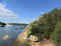 Hafen von Porto Cervo