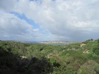 Inselrundfahrt in La Maddalena