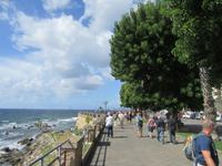 Stadtbesichtigung in Alghero