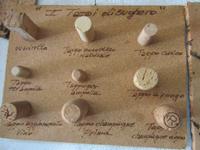 Korkfabrik in Calangianus