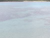 IMG_2034_Capriccioli