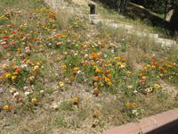 IMG_2045_Porto Cervo