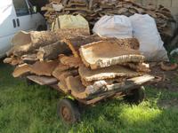 IMG_2174_Korkfabrik in Calangianus