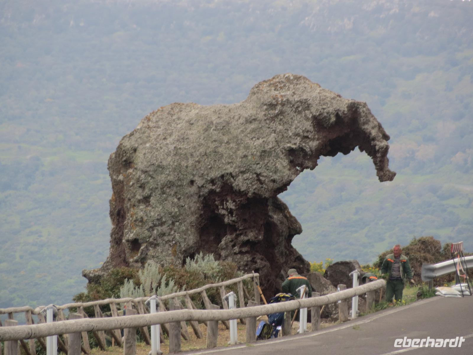IMG_2195_Elefantenfelsen