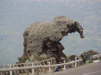 IMG_2195_Elefantenfelsen