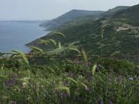 an der Küstenstraße 