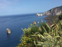 Panoramafahrt entlang der Zuckerhutküste