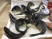 in der Markthalle San Benedetto